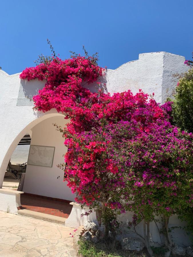 Villa Cecilia Полиняно а Маре Екстериор снимка